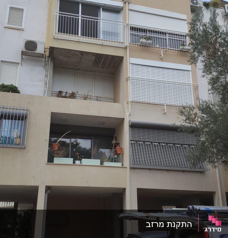 צמחים ועציצים על גג הבניין